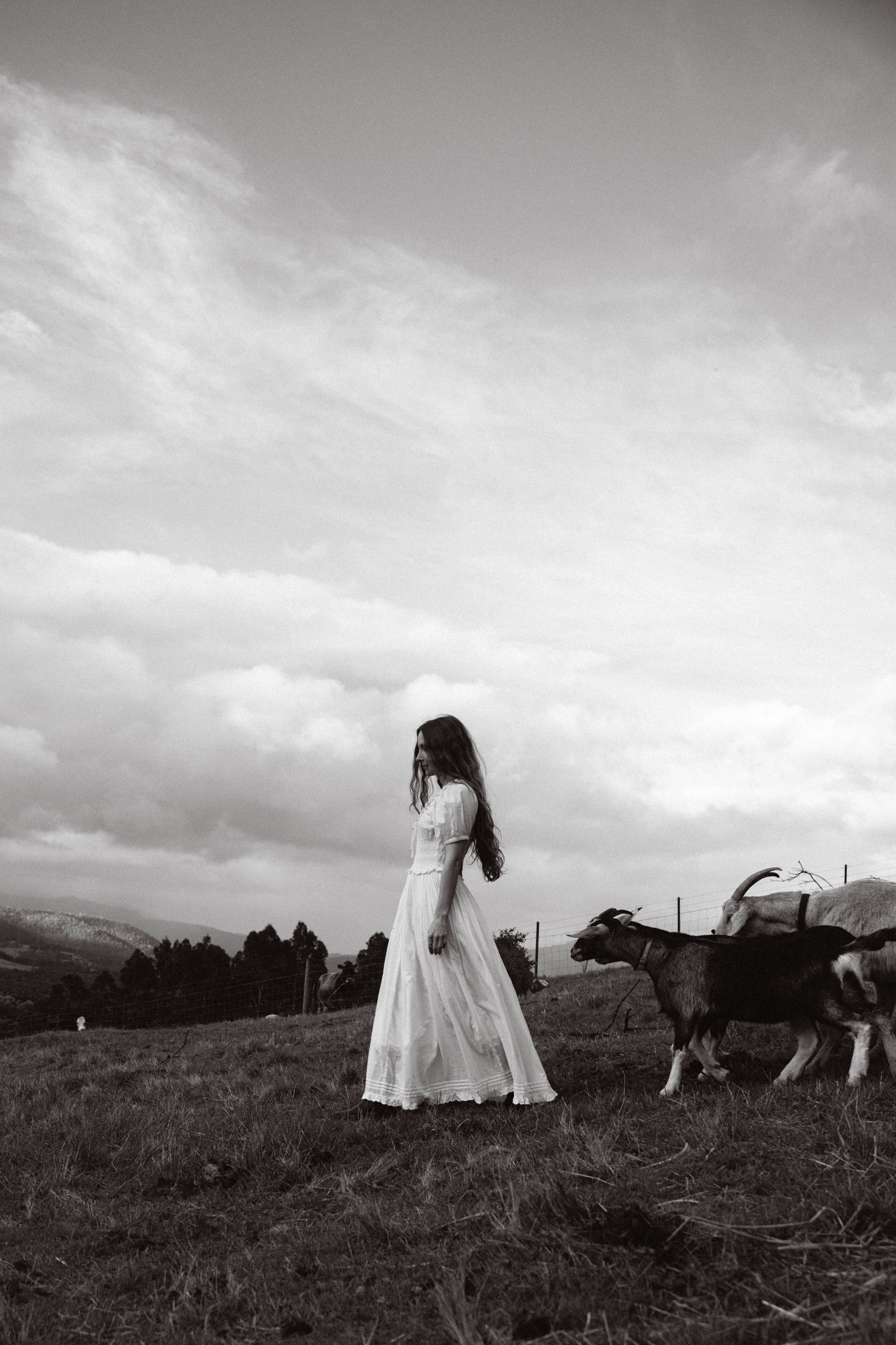 Dove Dress | PREORDER Meadowsweet Farmhouse