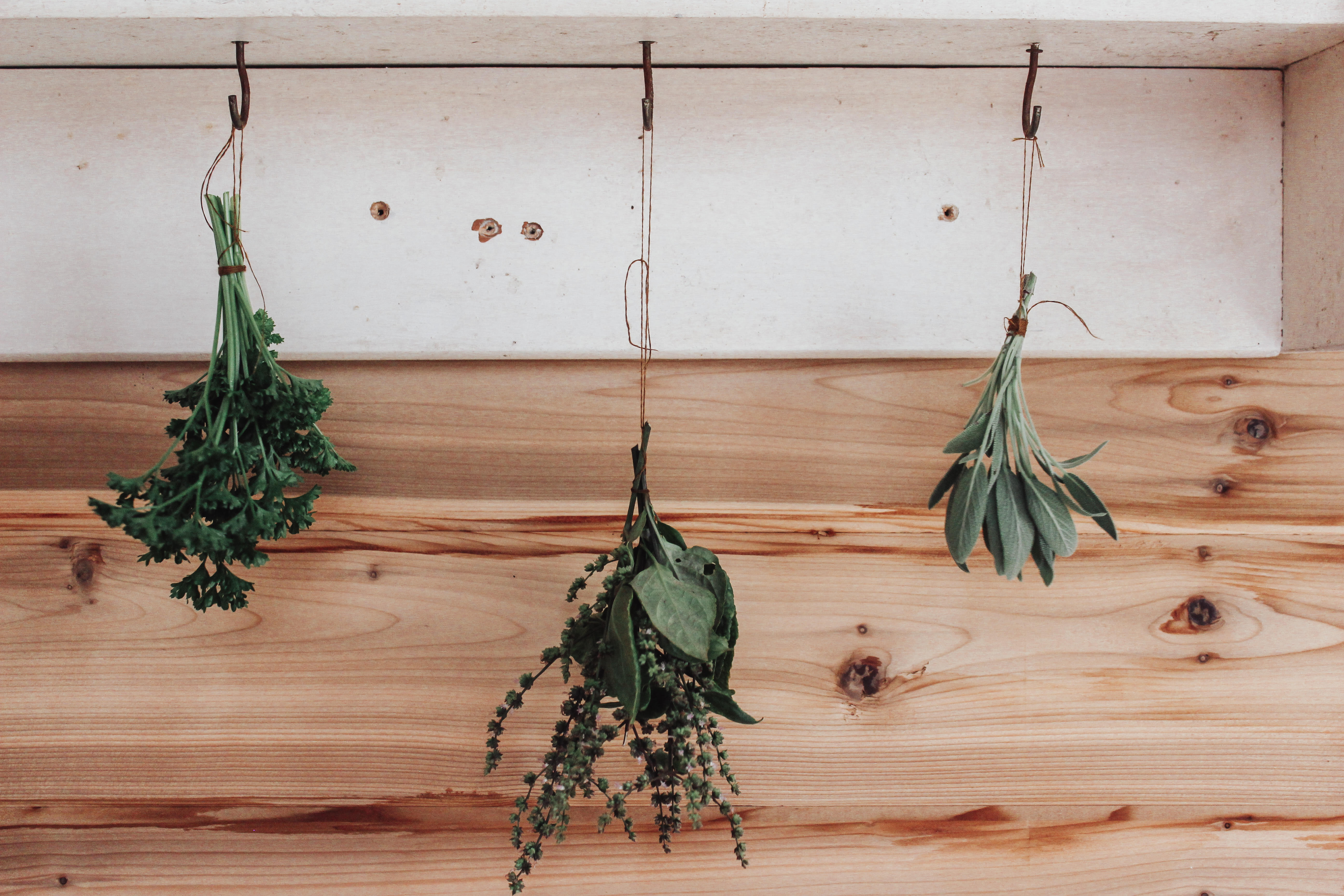How to Dry Petals & Herbs