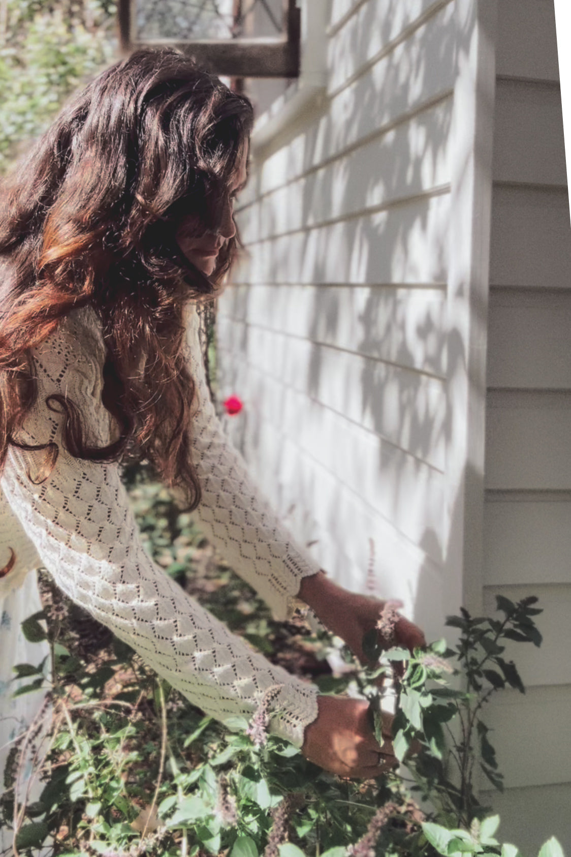 Rosewood Cardigan Meadowsweet Farmhouse